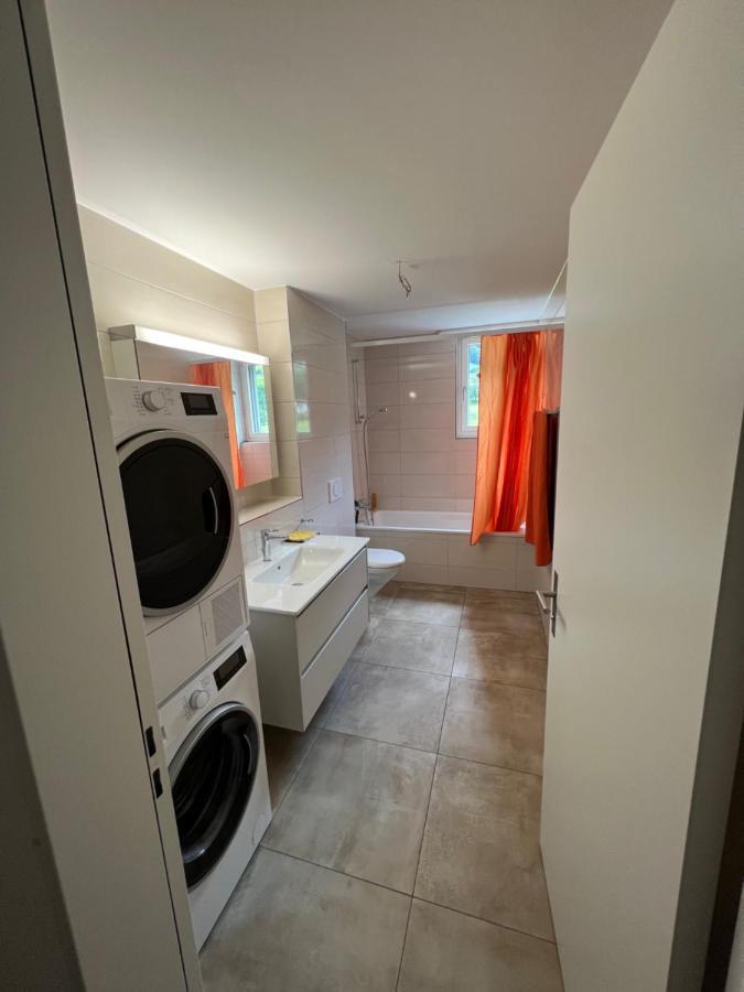 Great New Apartment Surrounded By Nature. Schattdorf Екстериор снимка