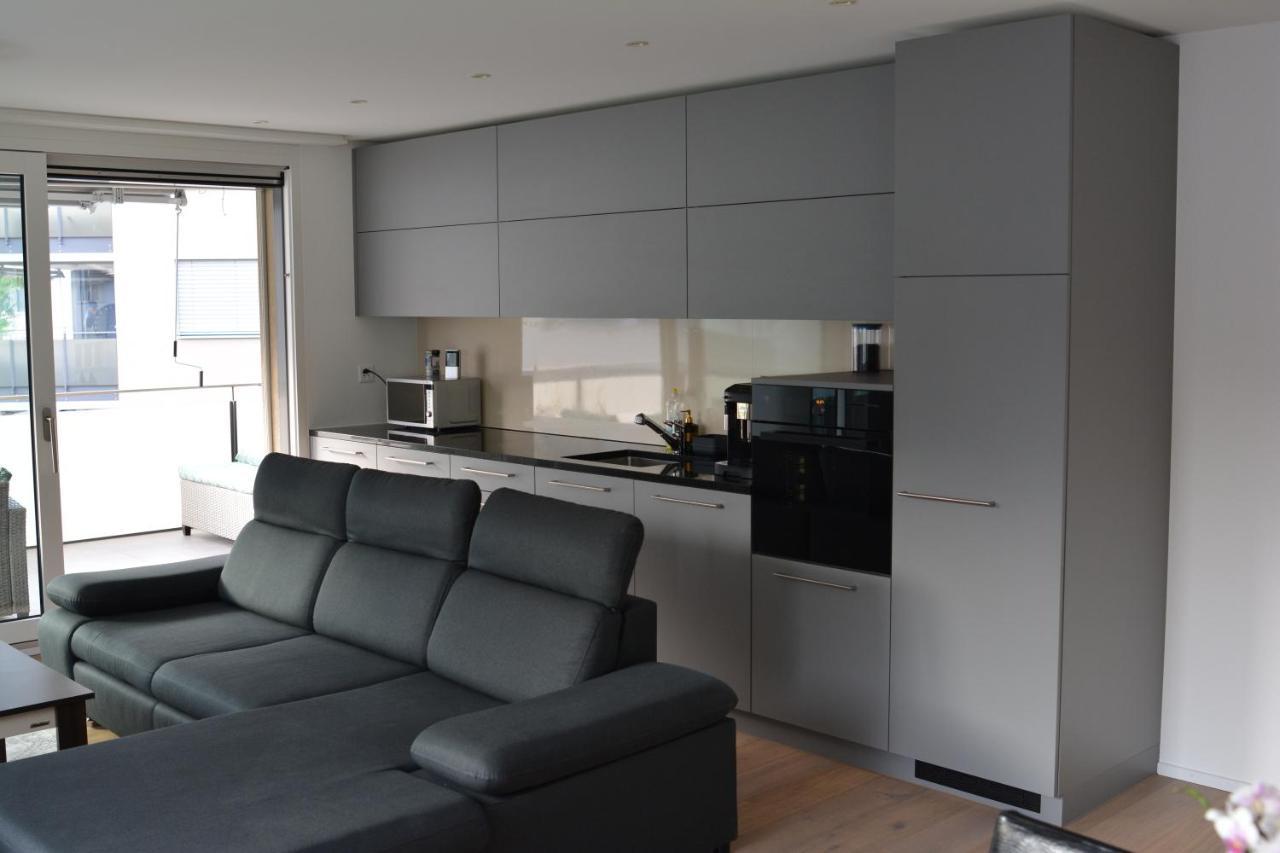Great New Apartment Surrounded By Nature. Schattdorf Екстериор снимка